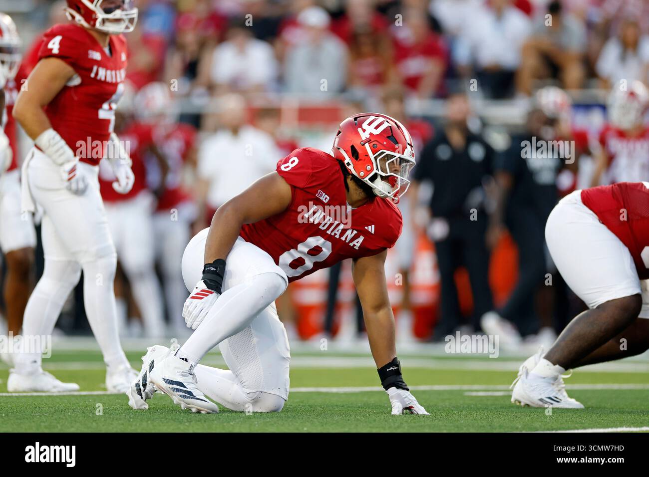 BLOOMINGTON, IN - SEPTEMBER 12: Stephen Daley #8 of the Indiana ...