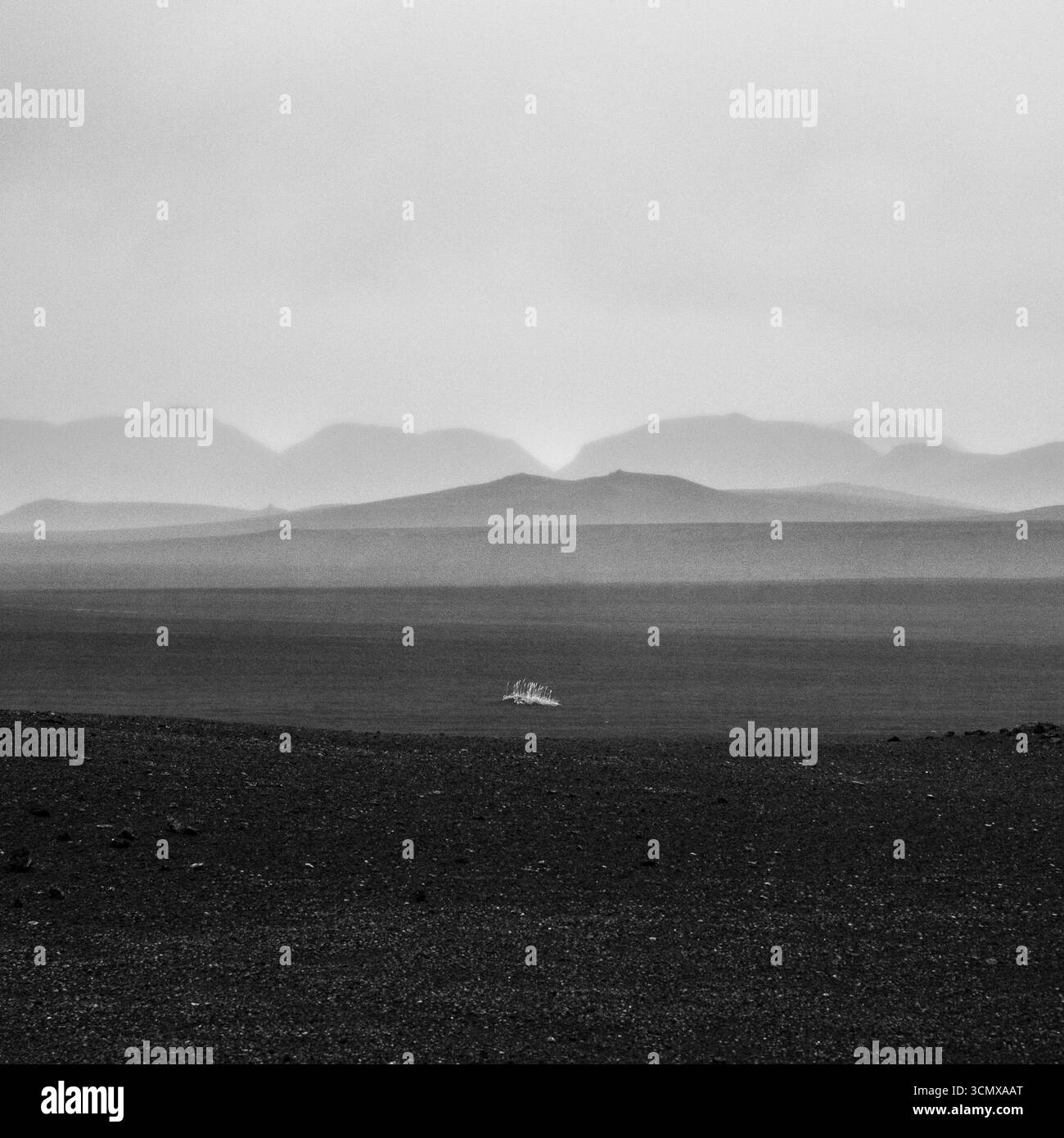 Minimalist black and white landscape near Veldivotn, Iceland Stock Photo