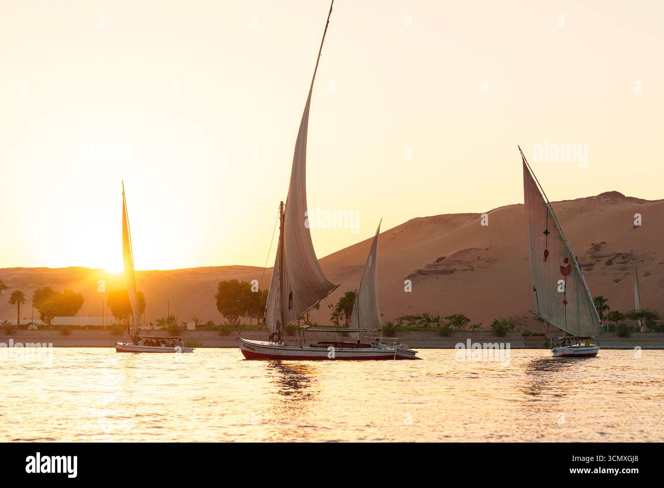 Felucca boats sailing in Nile River at sunset, Aswan, Egypt Stock Photo ...