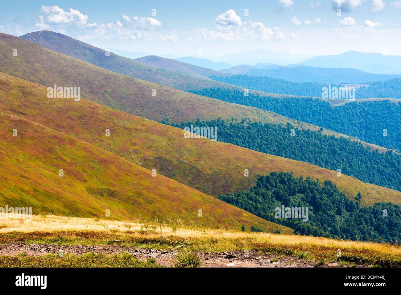 hiking path for mountain tourism in late summer. alpine landscape of ukraine. beautiful scenery of borzhava ridge with grassy rolling hills under blue Stock Photo