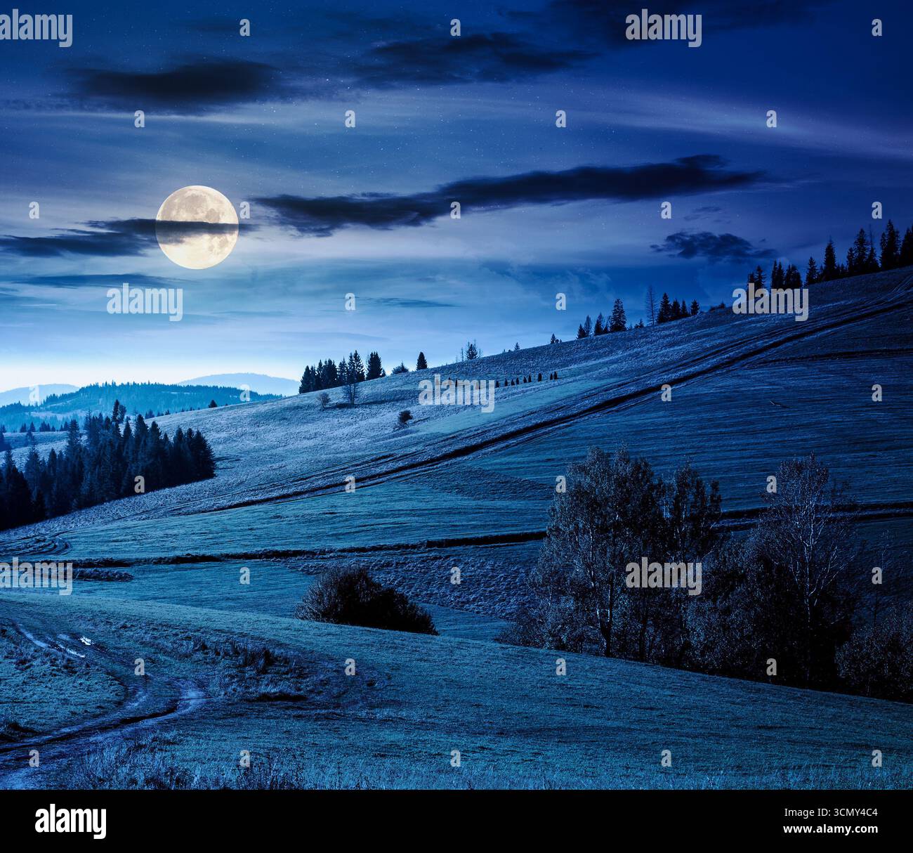 forest on grassy hill in autumn at night. beautiful rural scenery with rolling pasture. mountainous countryside in full moon light. warm october weath Stock Photo