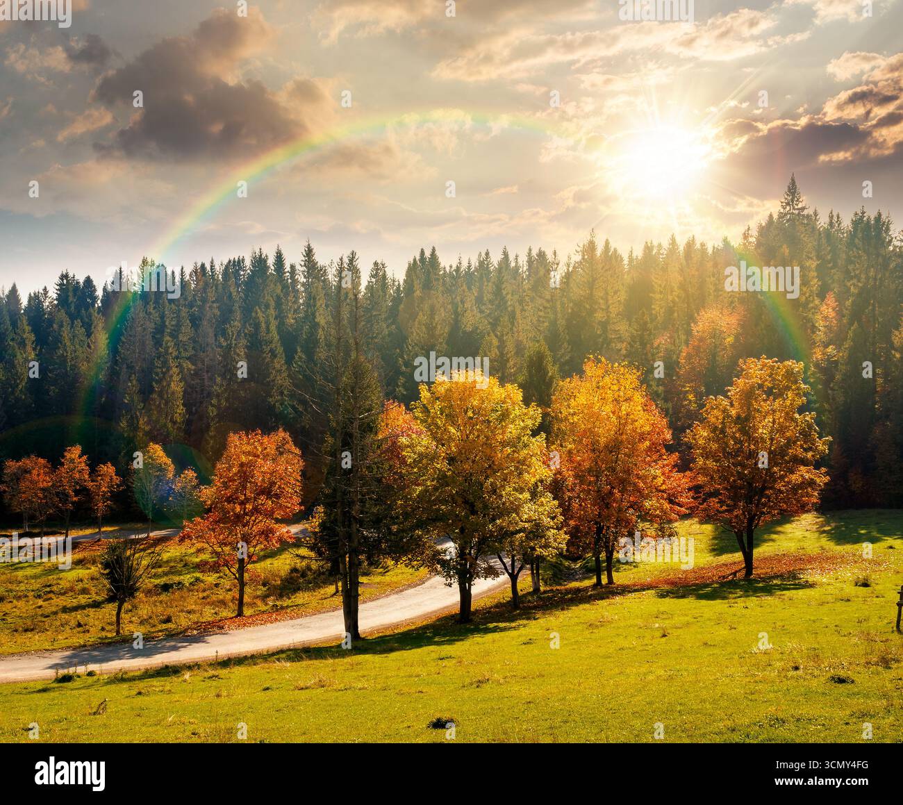 autumn landscape with road through valley at sunset near coniferous forest with trees in colorful leaves. beautiful countryside scene in mountains. sc Stock Photo