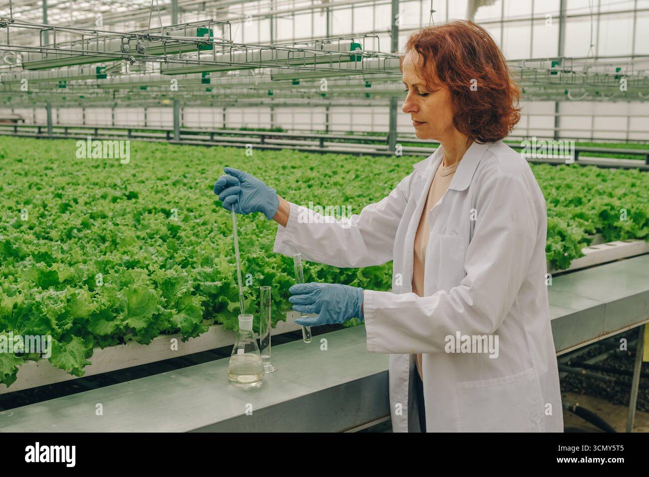 Female scientist in white lab coat conducting experiments with beakers ...