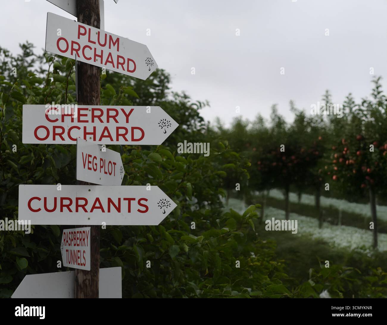 Fruit orchard signs Stock Photo