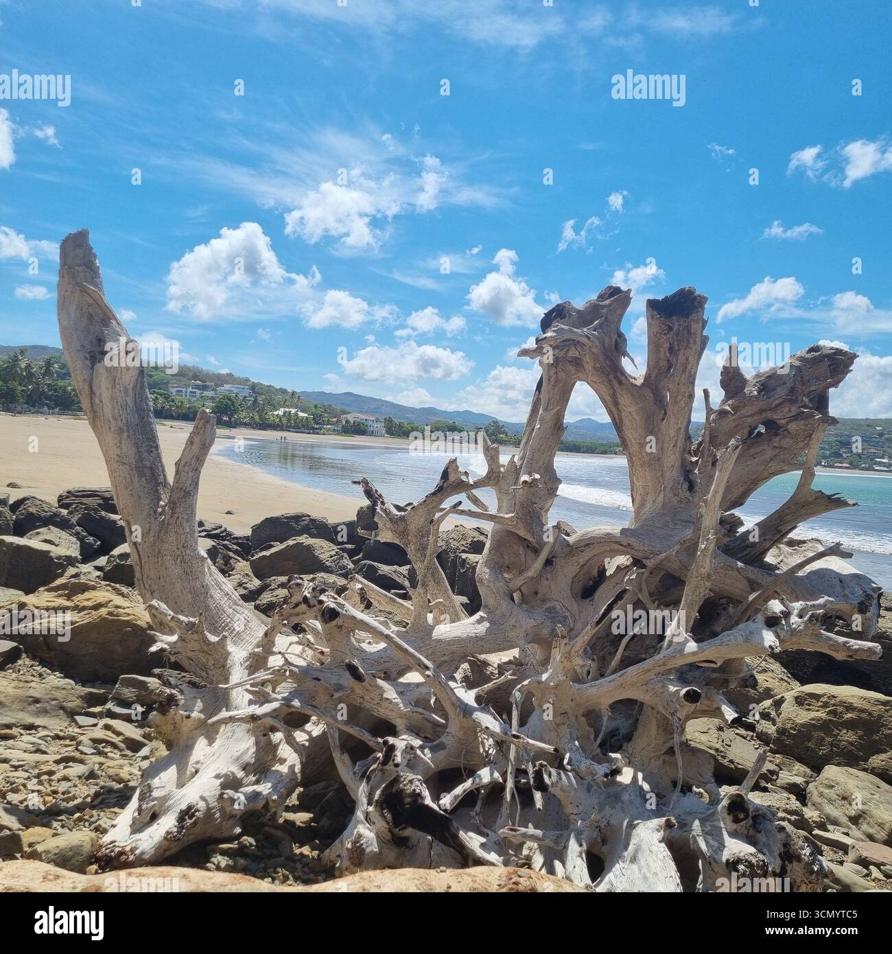 Beach view looking through Beach wood in San Juan Del Sur Nicaragua Central America - Smartphone Captured Stock Image