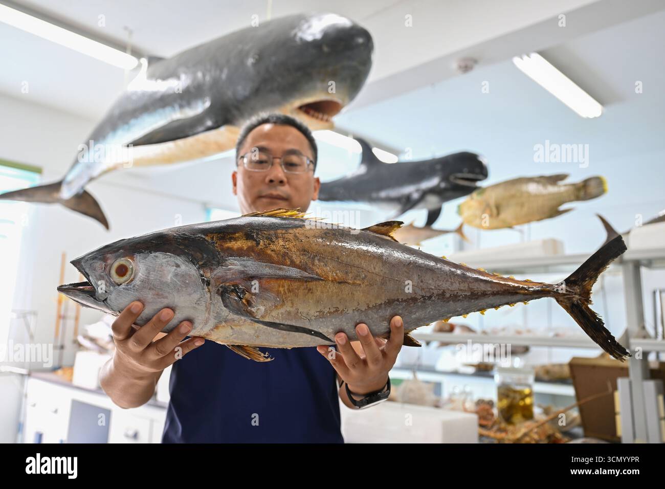 (250918) -- LINGSHUI, Sept. 18, 2025 (Xinhua) -- Qin Chuanxin, a ...