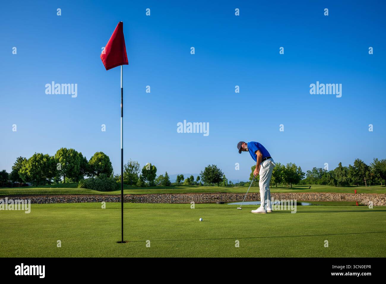 Golfer concentrating on putting the ball into the hole on a sunny day on a beautiful golf course Stock Photo