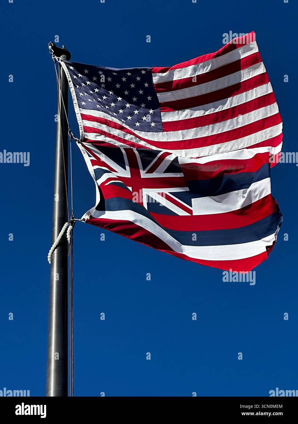 Hawaii State flag - Smartphone Captured Stock Image