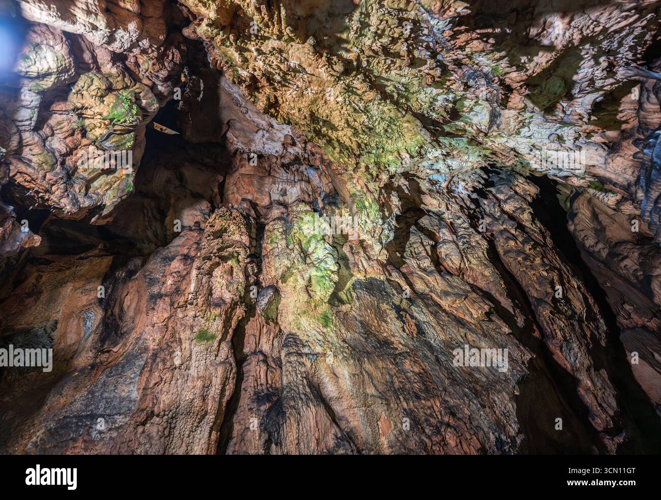 Cave ceiling with limestone stalactites and traces of green growth from ...