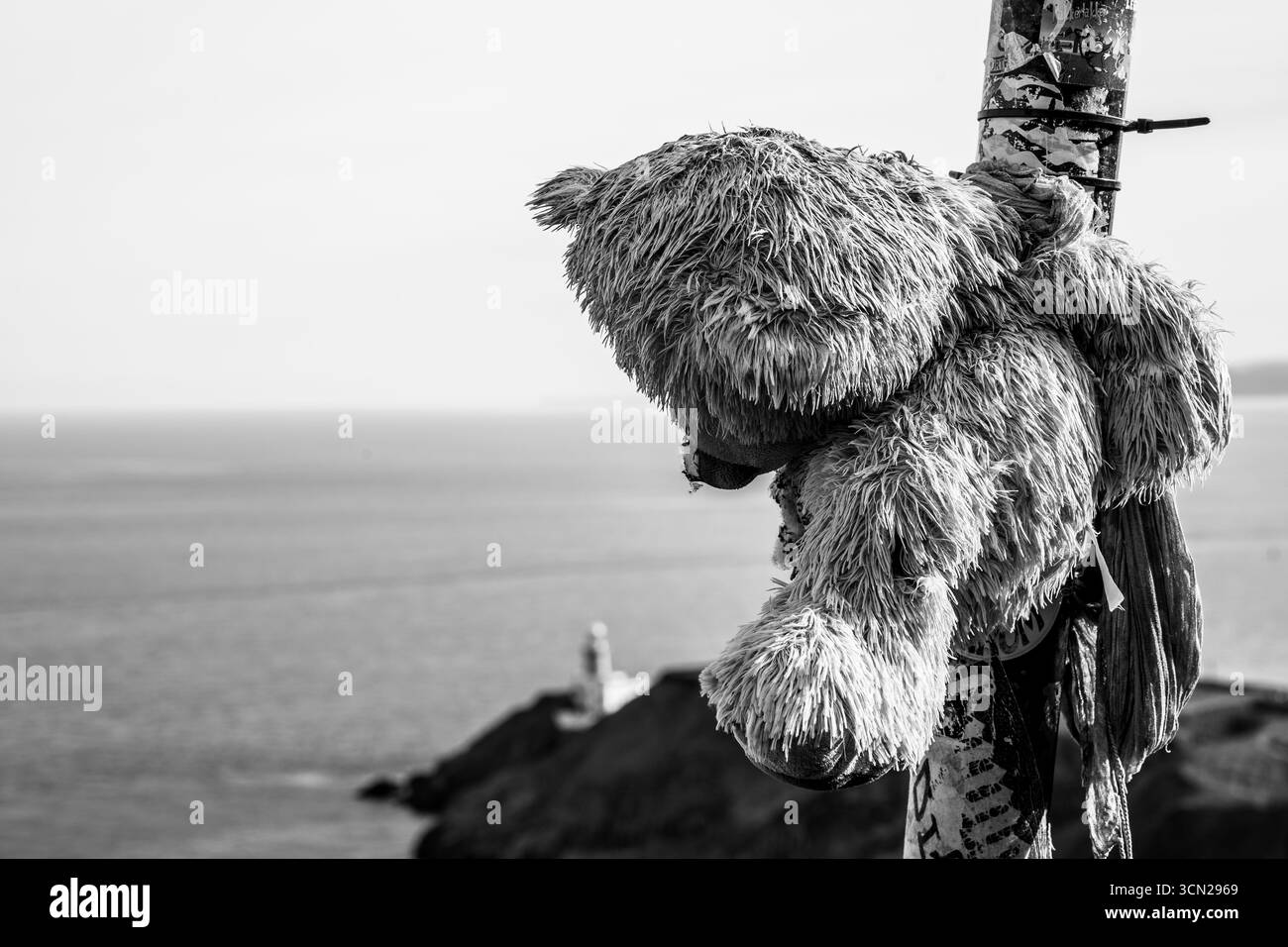 A worn-out, old plush toy, faded and matted from years of use. Its fabric is frayed, colors dulled, and it shows stains and signs of wear. Stock Photo