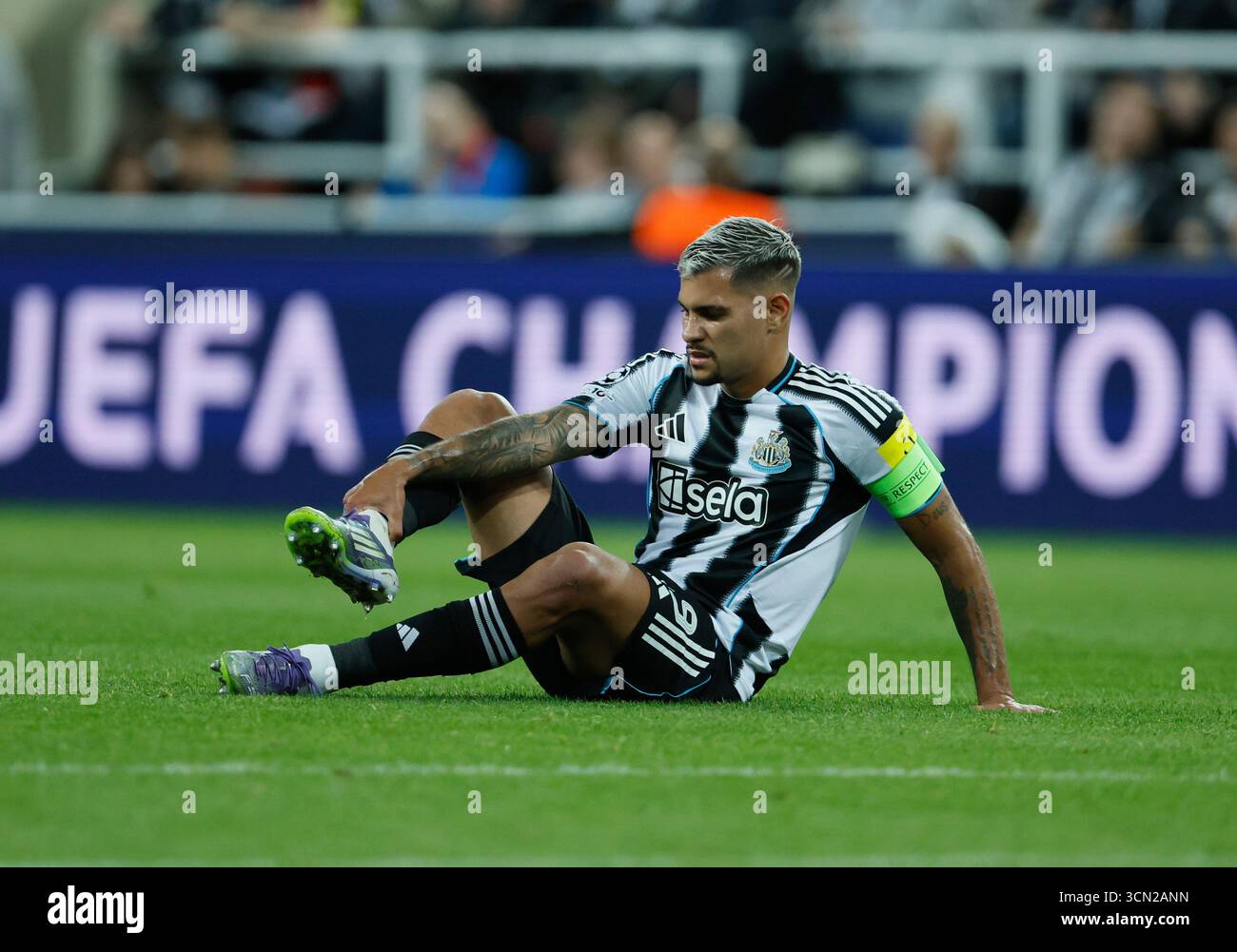 FPL Notes: Bruno Guimarães Injury, Tzolis & Ødegaard Updates FPL Notes: Bruno Guimarães Injury, Tzolis & Ødegaard Updates