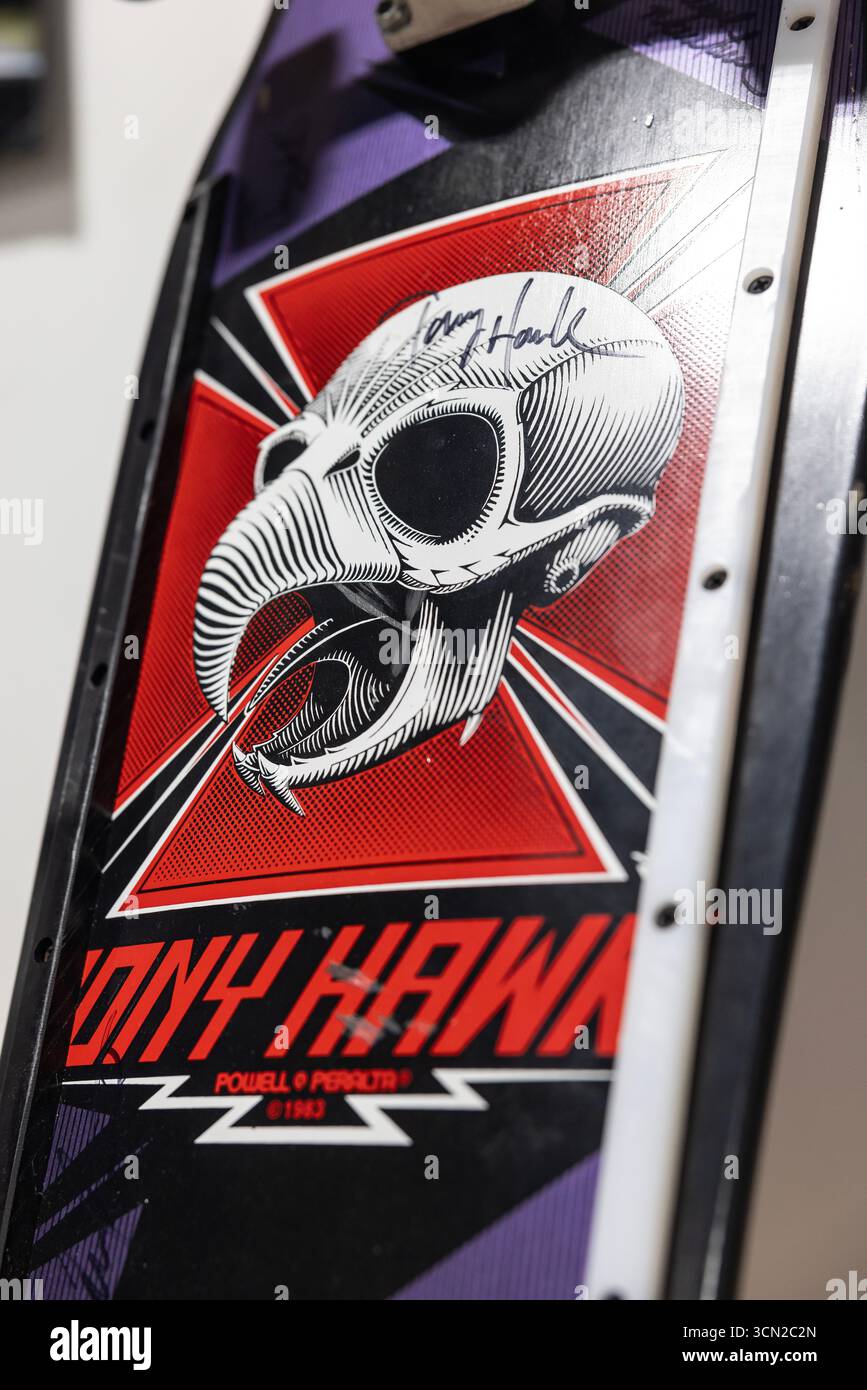 I just remembered the Tony Hawk: Ride Skateboard was a thing, and I'm starting t