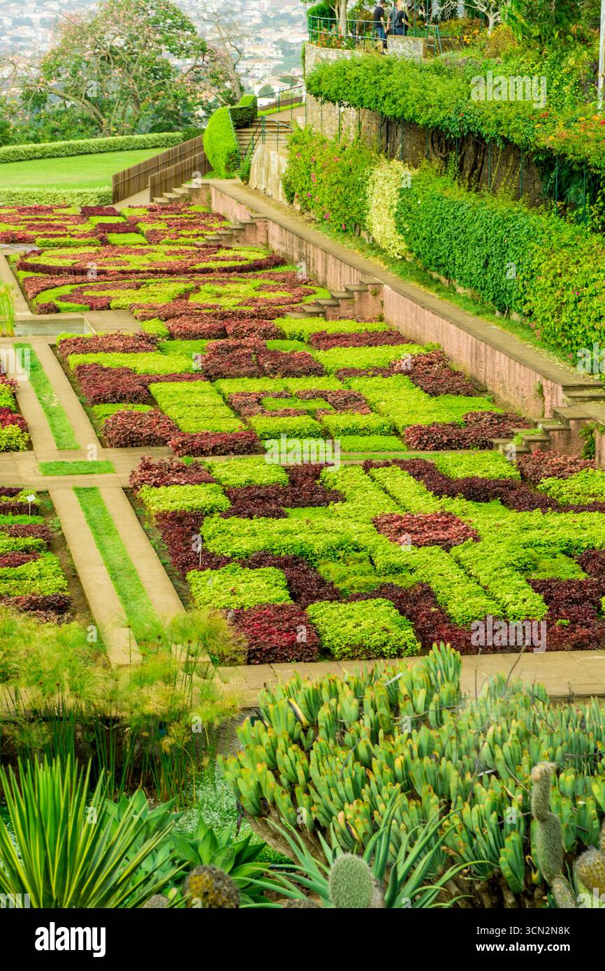 Choreographed gardes at Madeira Botanical Garden or Jardim botanico da madeira, Funchal, Madeira, Portugal. Stock Photo
