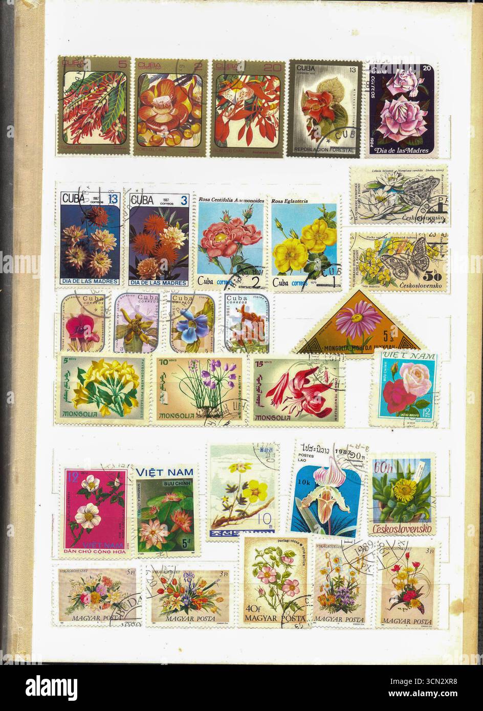 Historical flora collection hi-res stock photography and images - Alamy