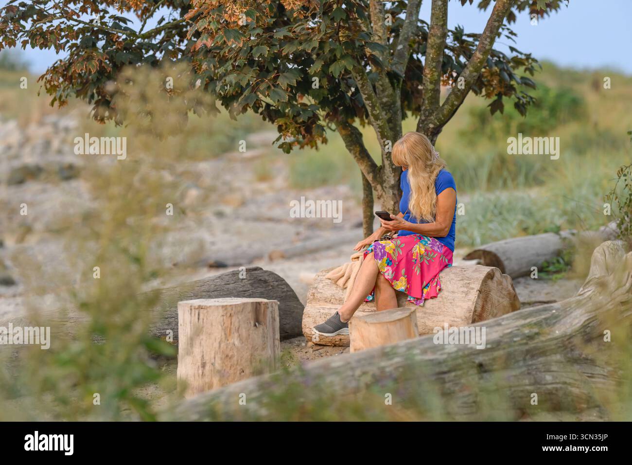 woman looking at phone sitting on log on deserted beach Stock Photo