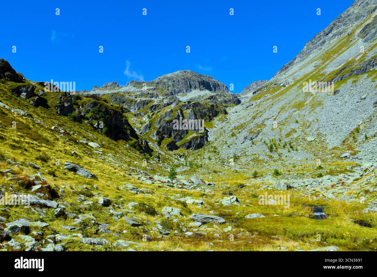 Alpine meadow with yellow dry grass and rocks bellow Kleine Leier ...