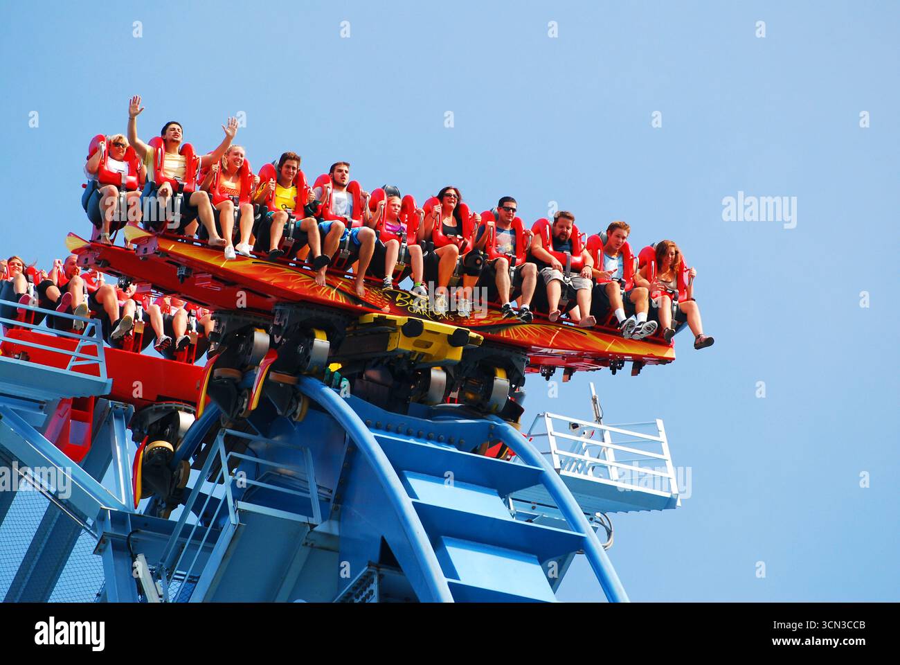Busch gardens williamsburg griffon hi-res stock photography and images -  Alamy, image size:1300x960