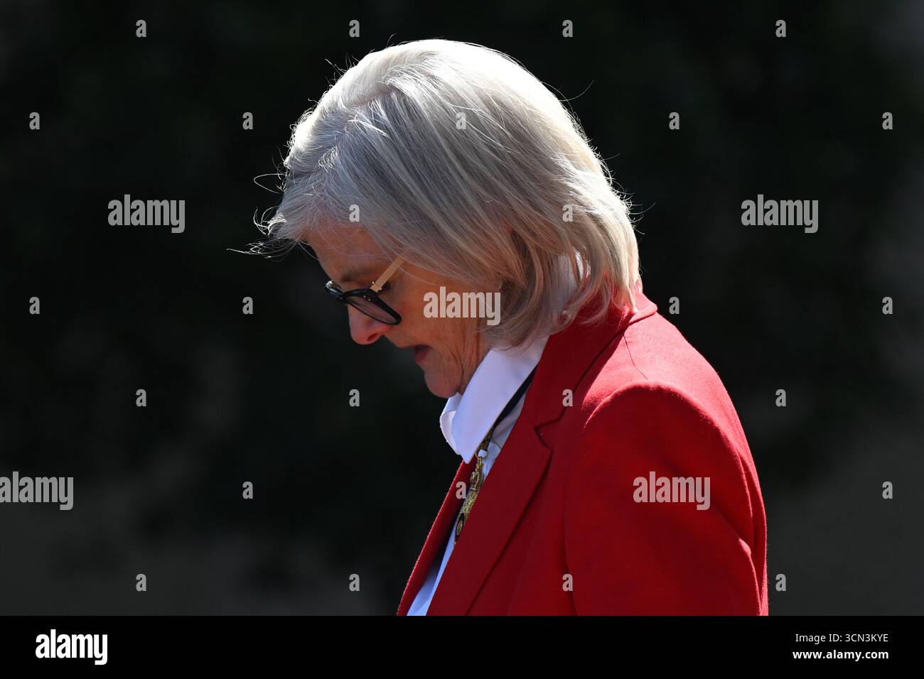 Australian Governor-General Sam Mostyn attends a smoking ceremony ...
