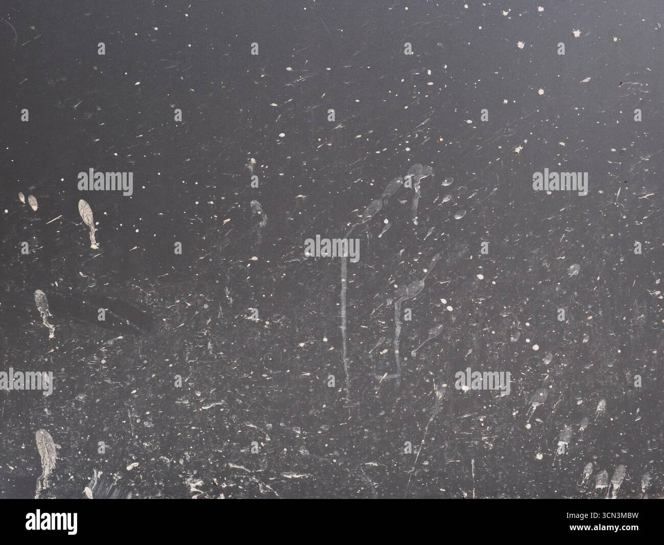 Grey wall texture with dirty splattered concrete stains Stock Photo