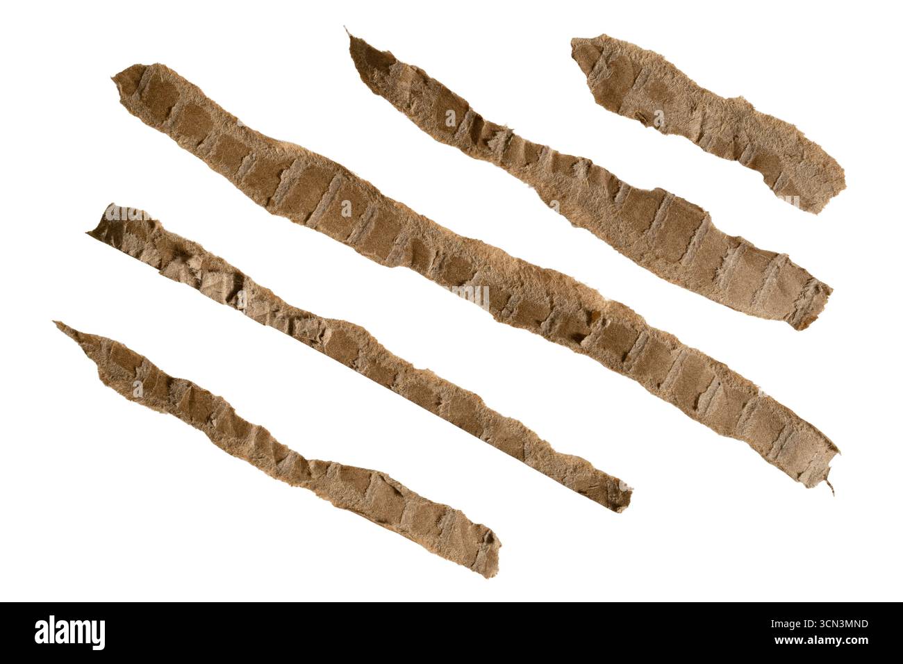 A set of elongated, torn cardboard papers designed for use as a separator line in graphic design. Stock Photo