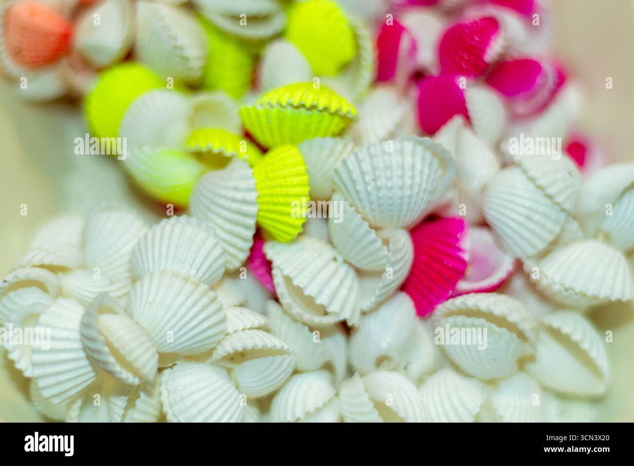 Shells Ridges Yellow Neon ridges hi-res stock photography and images - Alamy