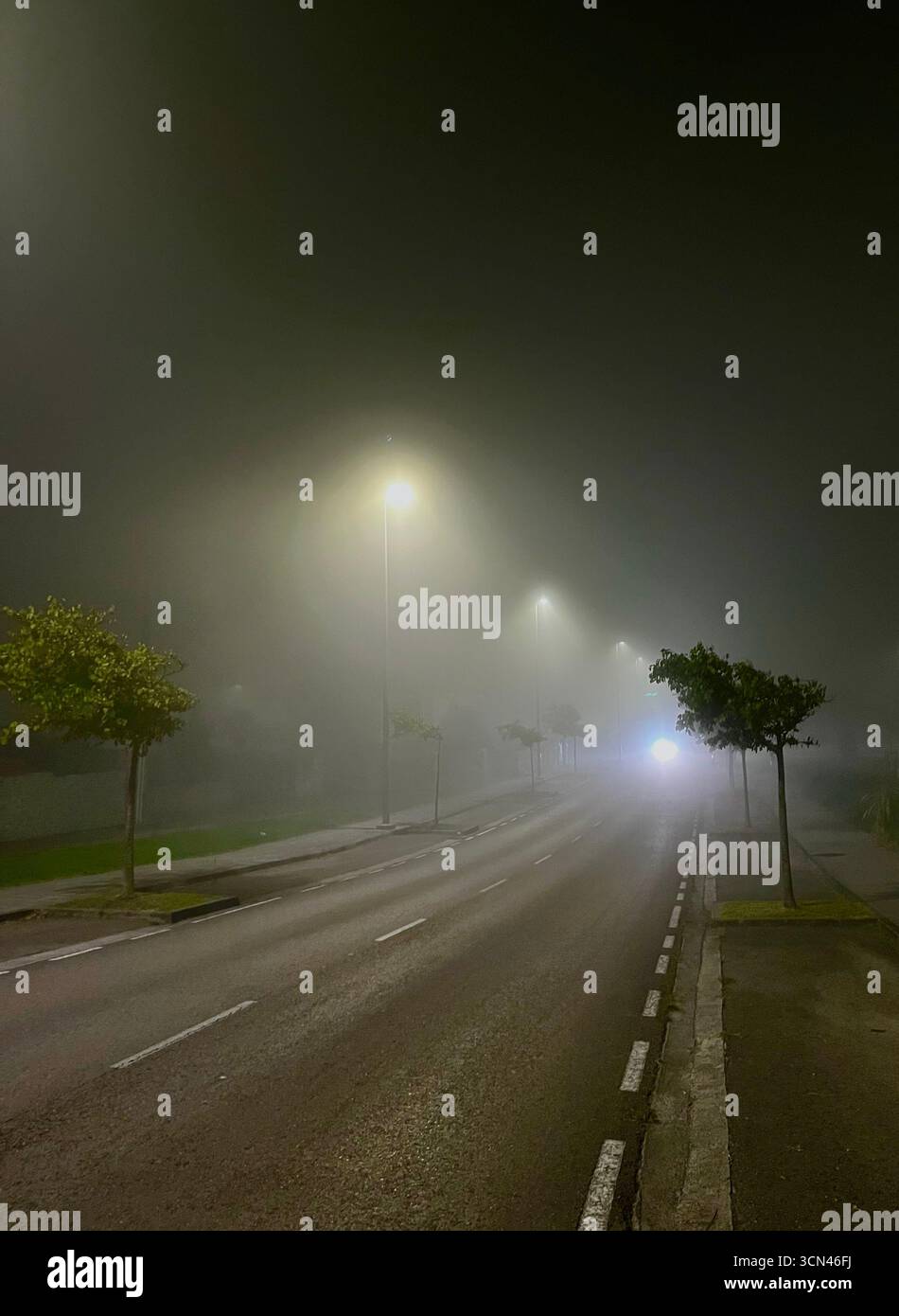 Early morning fog in darkness on a street bordered with trees with glowing street lights  lights Valdenoja Santander Cantabria Spain Europe - Smartphone Captured Stock Image