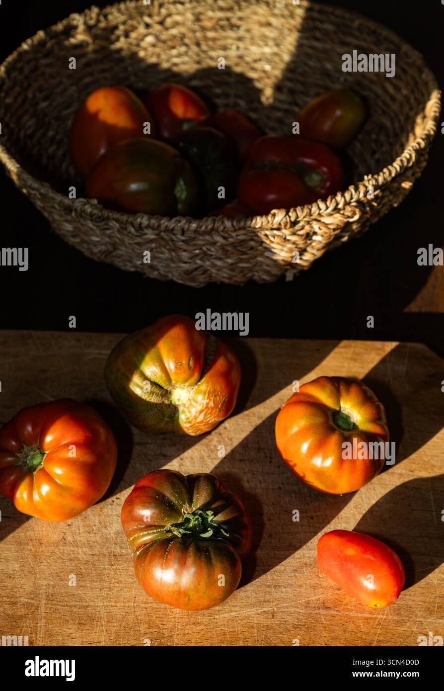 organic ripe tomatoes freshly picked Stock Photo