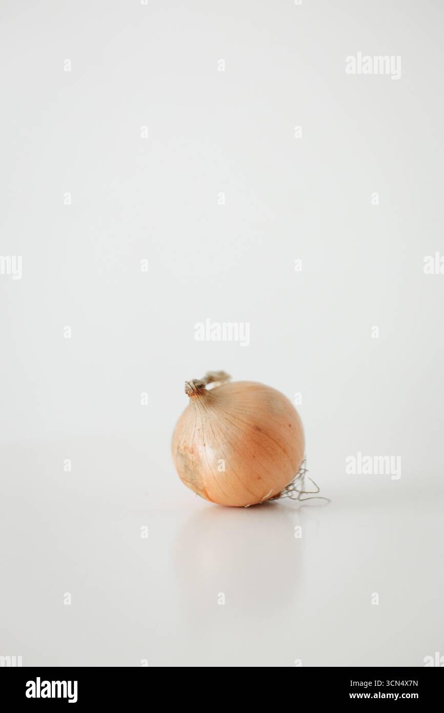 Single onion resting on white reflective surface for cookbook Stock Photo