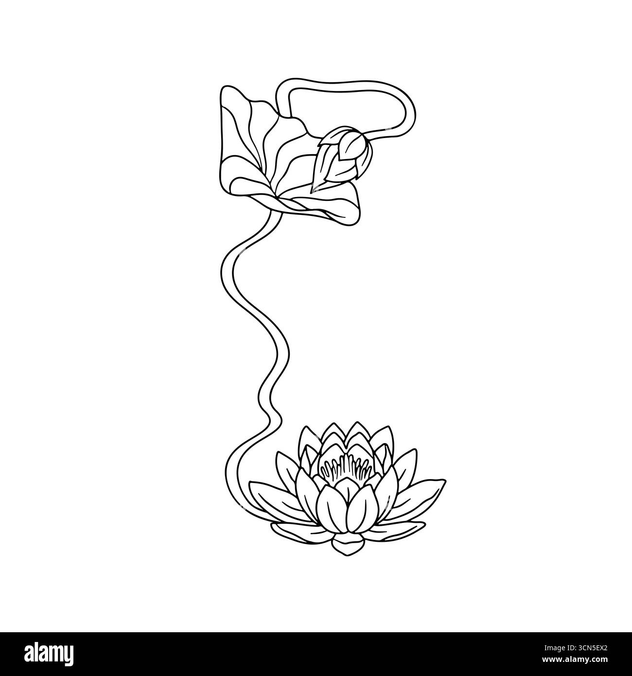 Vintage art nouveau hand drawn monochrome black and white lotus flowers ...