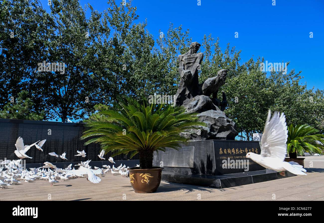 (250919) TIANJIN, Sept. 19, 2025 (Xinhua) Doves fly past a statue