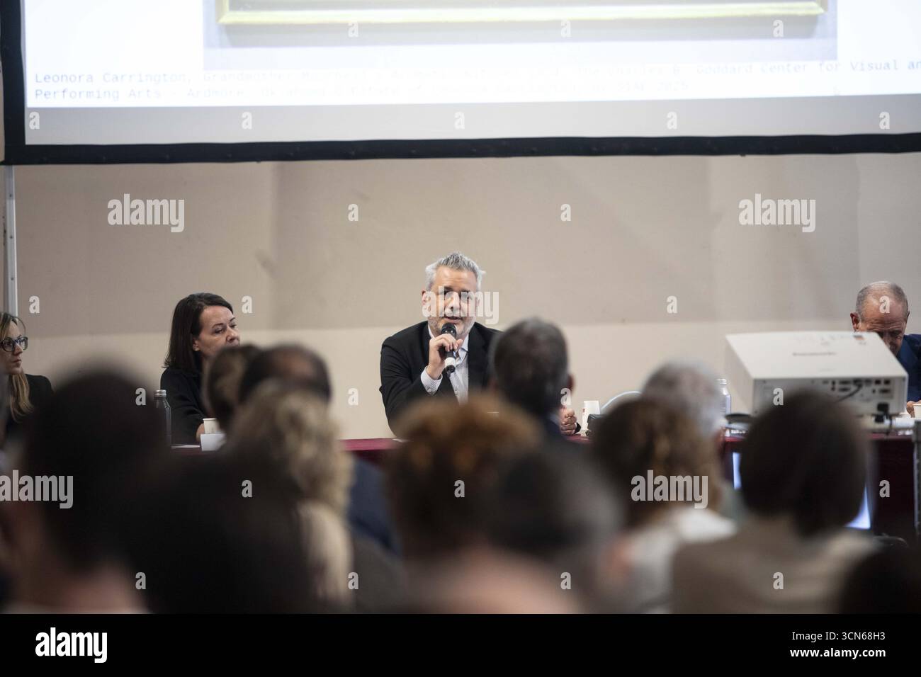 Milan, Palazzo Reale Press Conference for the 'Leonora Carrington' exhibition: Photos by curator Carlos Martín Credit: Independent Photo Agency Srl/Alamy Live News Stock Photo