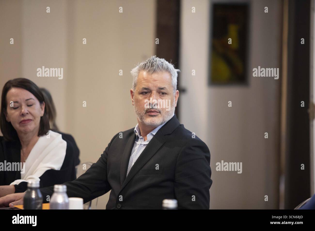 Milan, Palazzo Reale Press Conference for the 'Leonora Carrington' exhibition: Photos by curator Carlos Martín Credit: Independent Photo Agency Srl/Alamy Live News Stock Photo