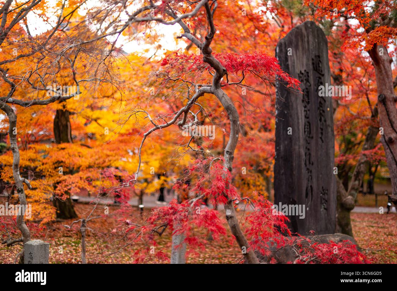 Outdoor monument surrounded hi-res stock photography and images - Alamy