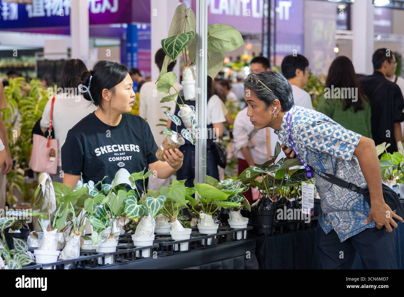 The 23rd china kunming international flower exhibition hi-res stock ...