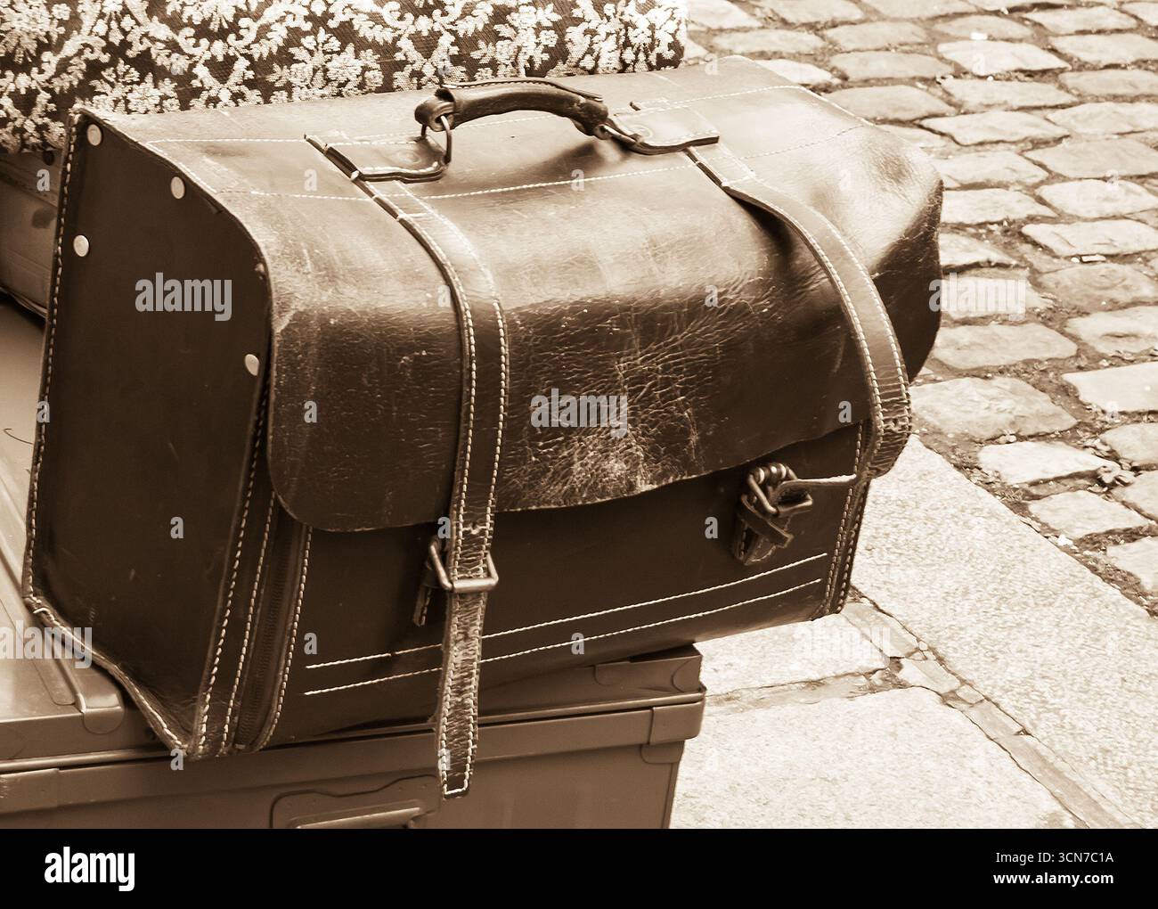 potoページ Poto poto hi-res stock photography and images - Alamy