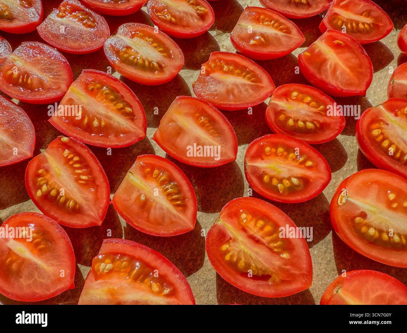 Sliced plum tomatoes on baking tray sprinkled with salt ready for oven drying to make homemade sun dried tomatoes: Phillip Roberts - Smartphone Captured Stock Image