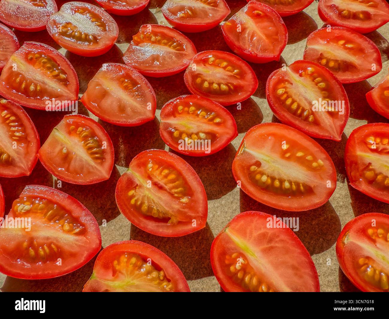 Sliced plum tomatoes on baking tray sprinkled with salt ready for oven drying to make homemade sun dried tomatoes: Phillip Roberts - Smartphone Captured Stock Image