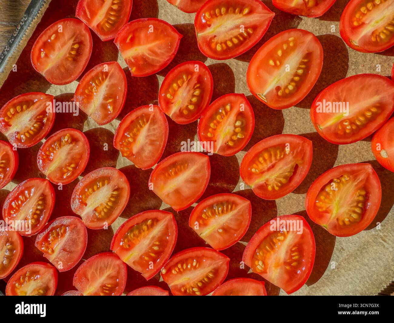 Sliced plum tomatoes on baking tray sprinkled with salt ready for oven drying to make homemade sun dried tomatoes: Phillip Roberts - Smartphone Captured Stock Image