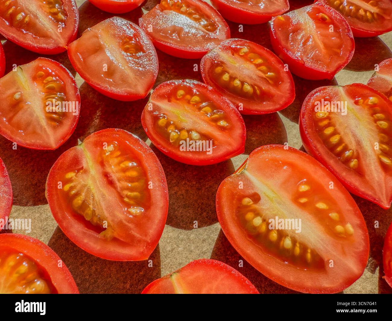 Sliced plum tomatoes on baking tray sprinkled with salt ready for oven drying to make homemade sun dried tomatoes: Phillip Roberts - Smartphone Captured Stock Image