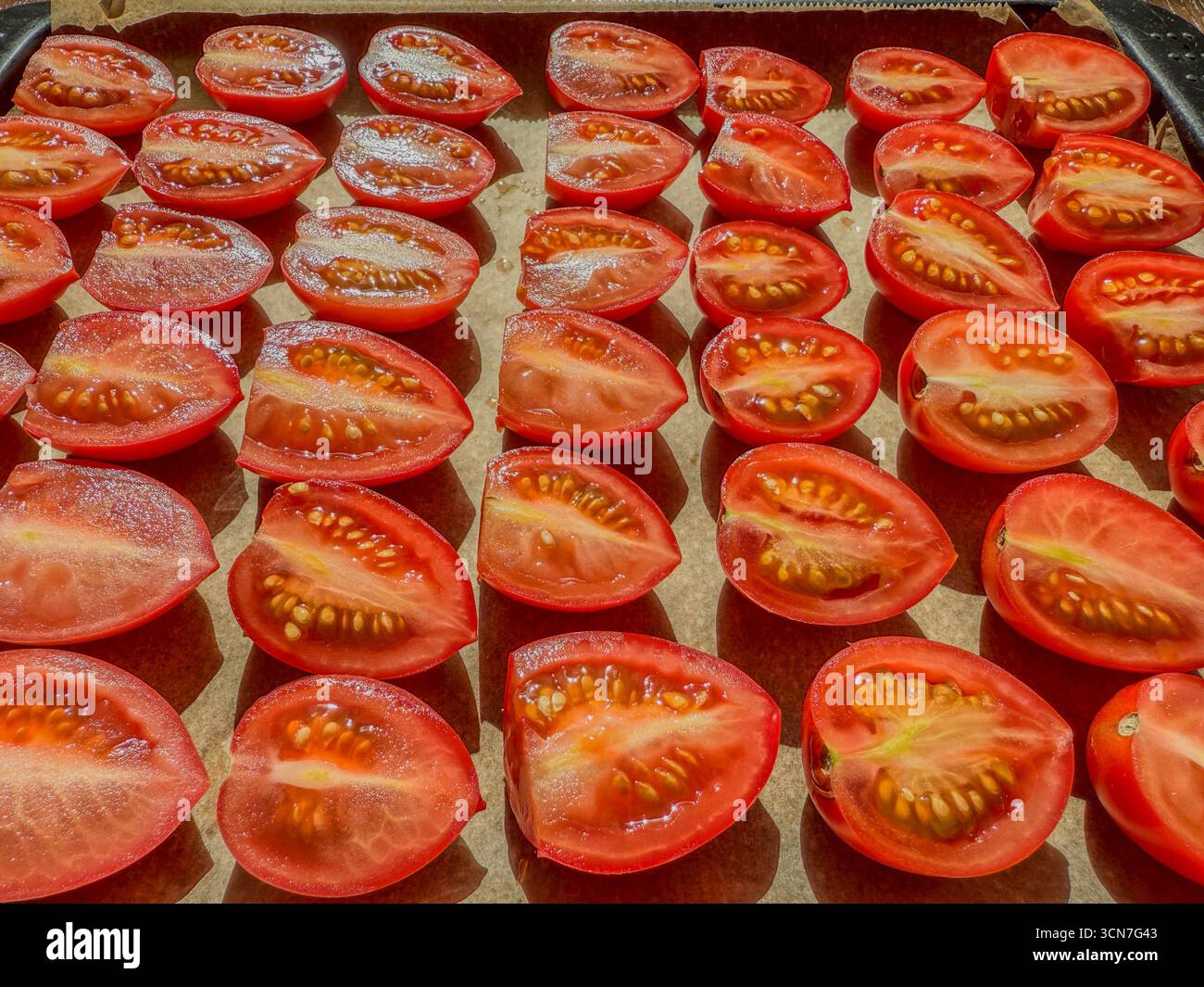 Sliced plum tomatoes on baking tray sprinkled with salt ready for oven drying to make homemade sun dried tomatoes: Phillip Roberts - Smartphone Captured Stock Image