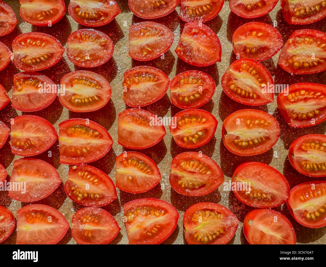 Sliced plum tomatoes on baking tray sprinkled with salt ready for oven drying to make homemade sun dried tomatoes: Phillip Roberts - Smartphone Captured Stock Image