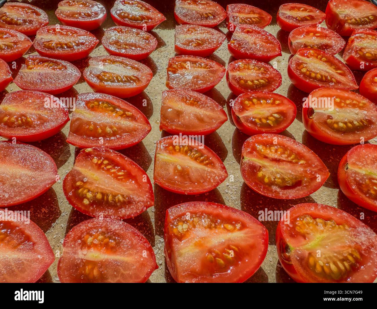 Sliced plum tomatoes on baking tray sprinkled with salt ready for oven drying to make homemade sun dried tomatoes: Phillip Roberts - Smartphone Captured Stock Image