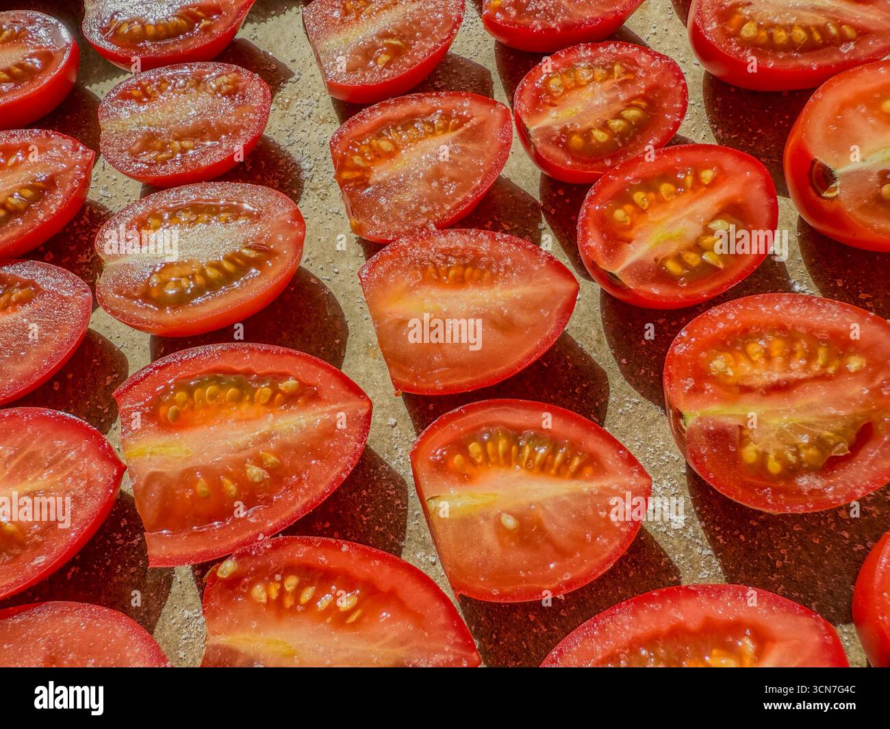 Sliced plum tomatoes on baking tray sprinkled with salt ready for oven drying to make homemade sun dried tomatoes: Phillip Roberts - Smartphone Captured Stock Image
