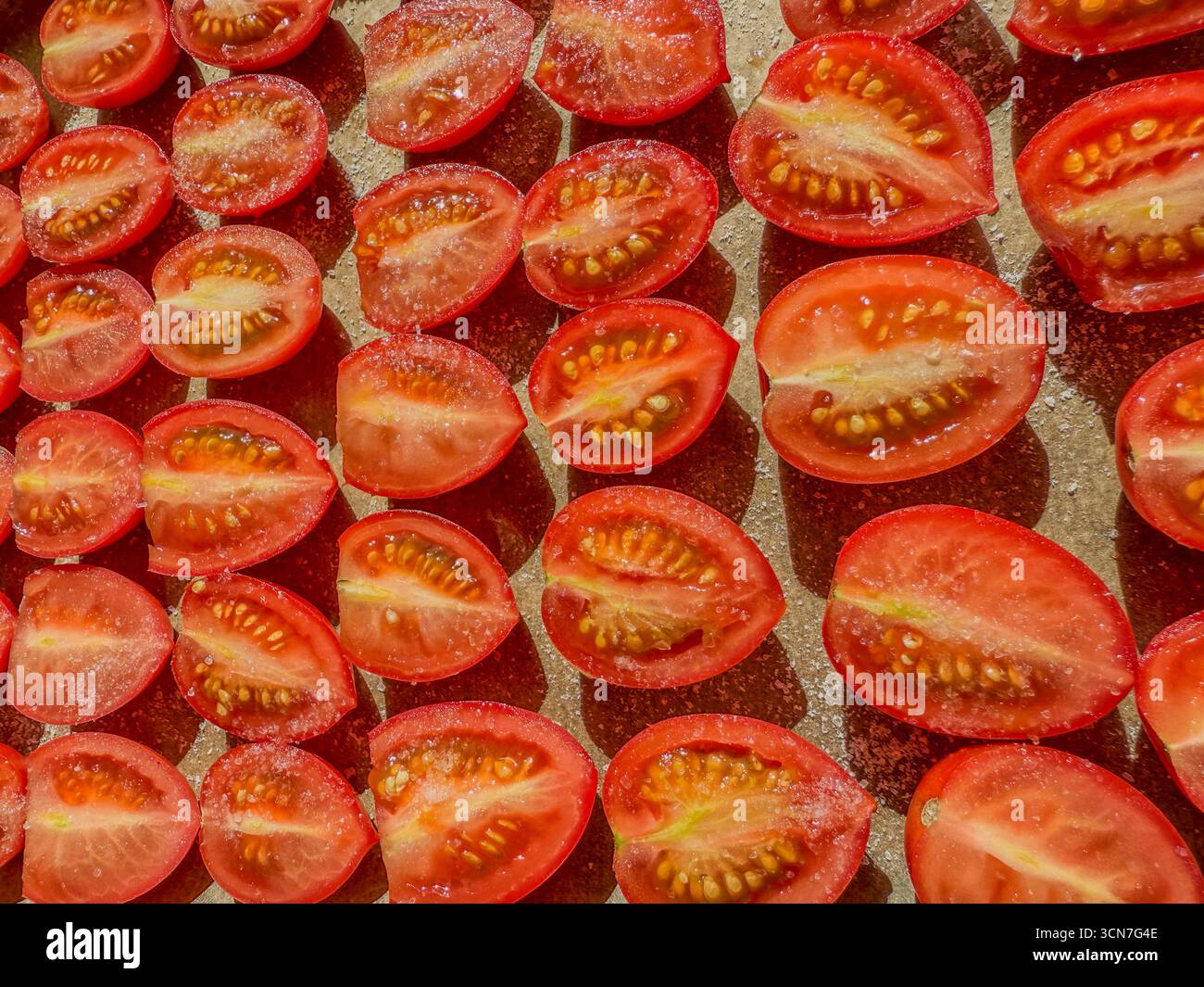 Sliced plum tomatoes on baking tray sprinkled with salt ready for oven drying to make homemade sun dried tomatoes: Phillip Roberts - Smartphone Captured Stock Image
