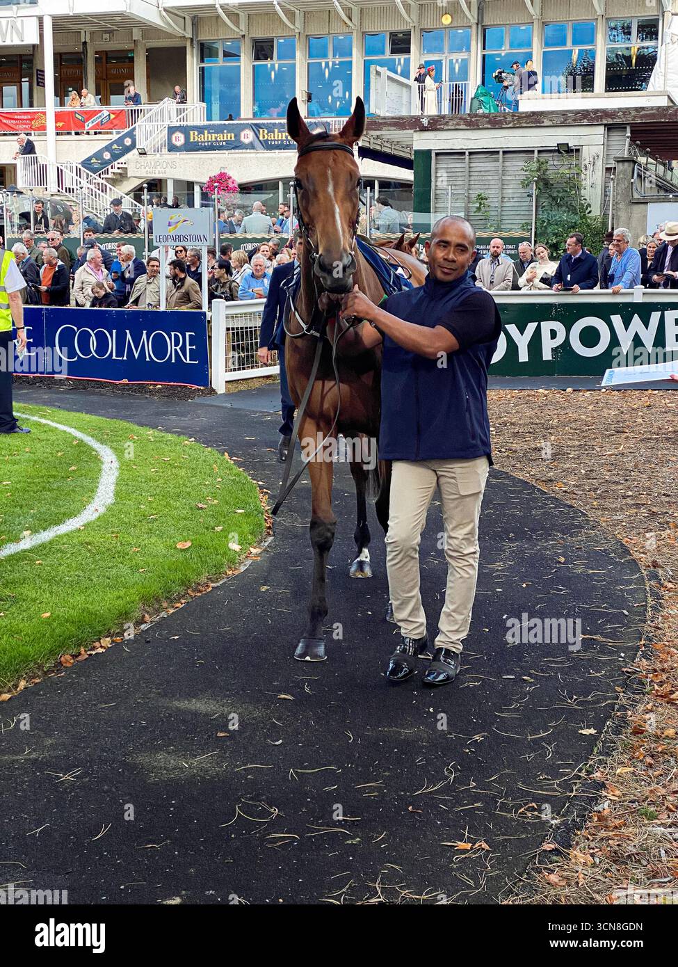Irish Champions Festival,Leopardstown Racecourse,Dublin,Ireland.Handlers, jockeys, and thoroughbreds in the paddock before the race. - Smartphone Captured Stock Image