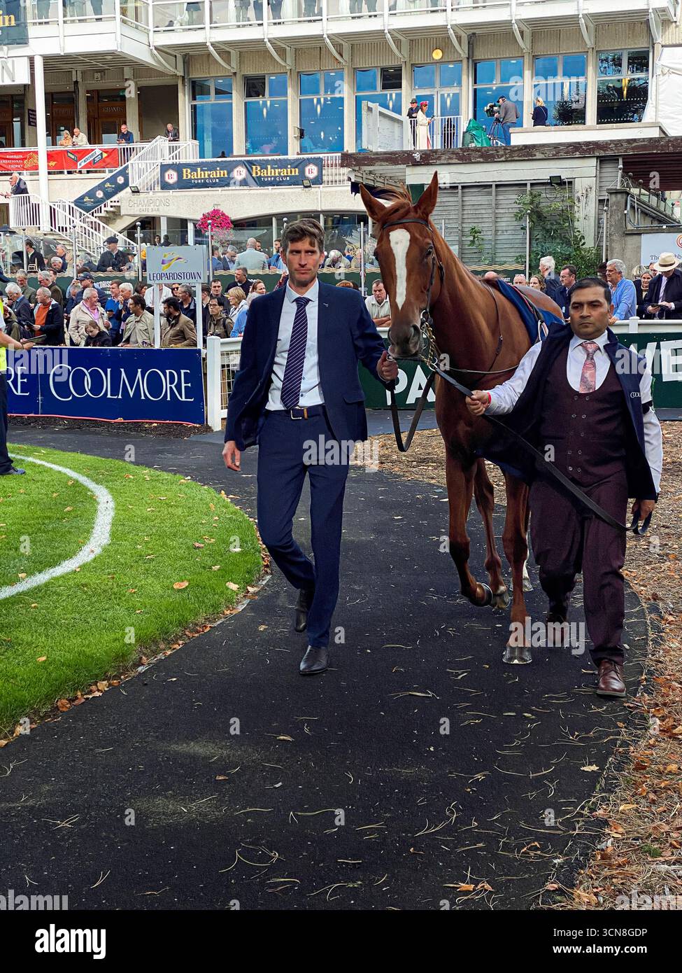 Irish Champions Festival,Leopardstown Racecourse,Dublin,Ireland.Handlers, jockeys, and thoroughbreds in the paddock before the race. - Smartphone Captured Stock Image