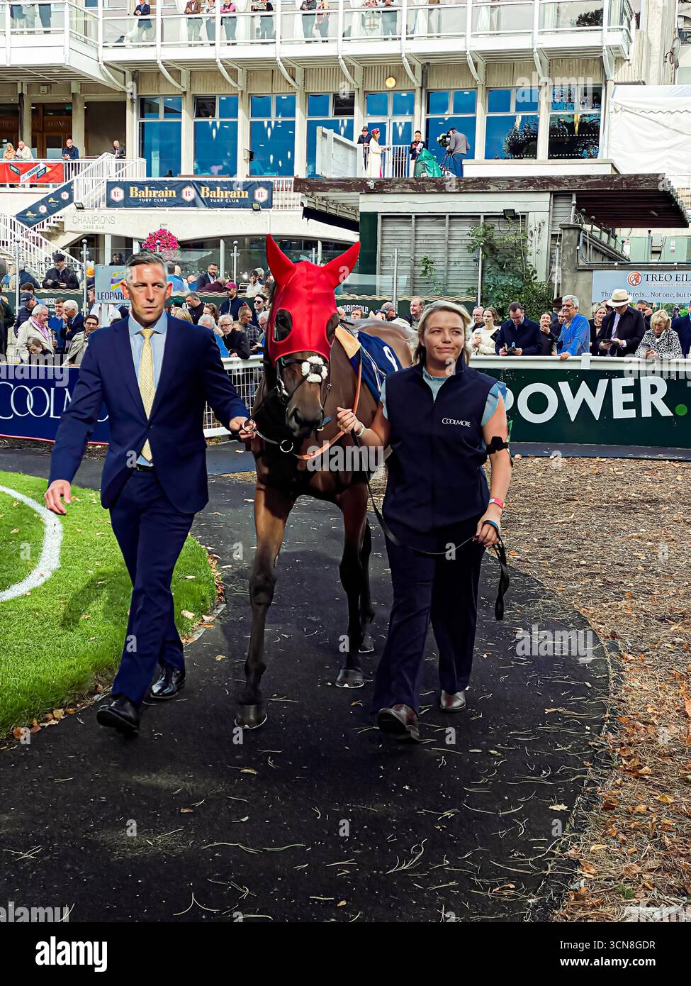 Irish Champions Festival,Leopardstown Racecourse,Dublin,Ireland.Handlers, jockeys, and thoroughbreds in the paddock before the race. - Smartphone Captured Stock Image