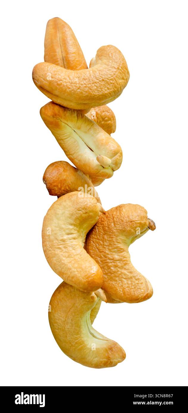 Roasted peeled cashew nuts in stack are isolated on white background with clipping path. Stock Photo