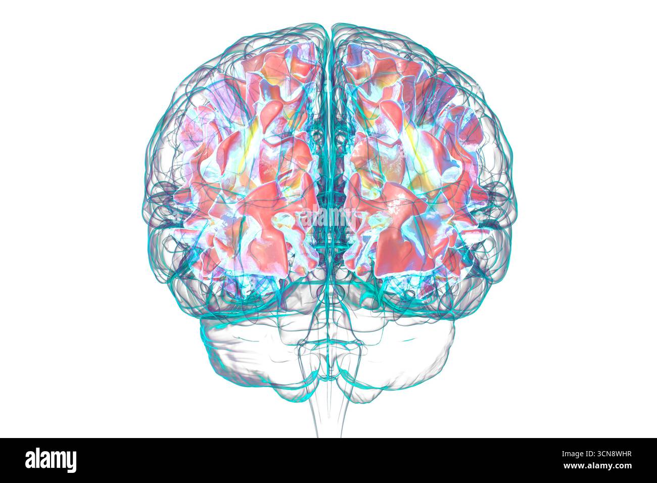 Human brain with highlighted white matter, illustration. White matter facilitates neural communication and is associated with multiple sclerosis and l Stock Photo