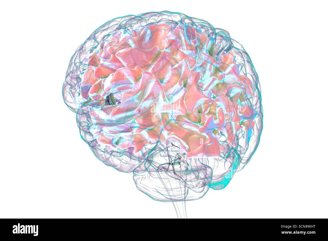 Human brain with highlighted white matter, illustration. White matter facilitates neural communication and is associated with multiple sclerosis and l Stock Photo